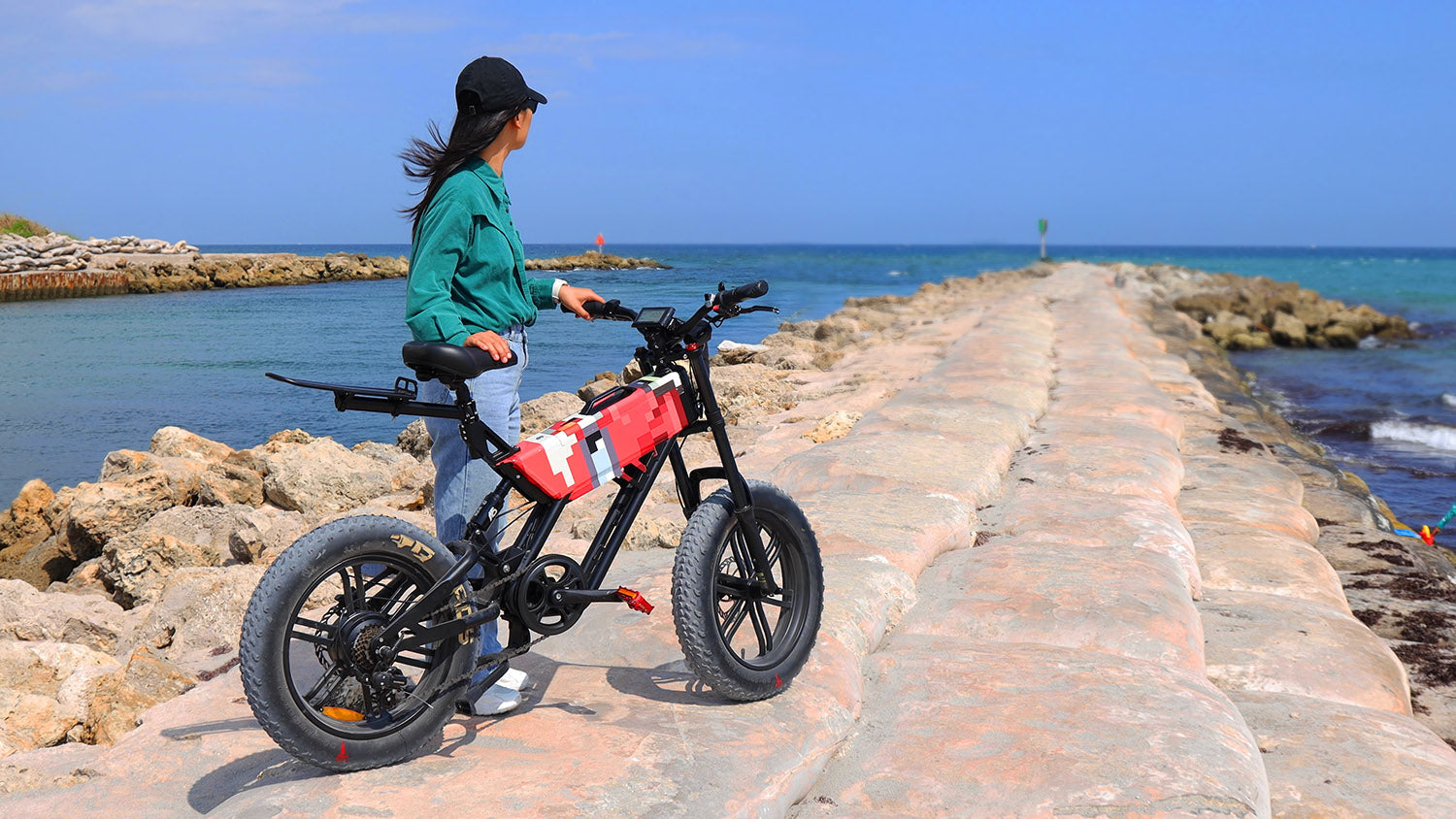 MB1 Genesis Fat Tire Moonbird Inspired ebike